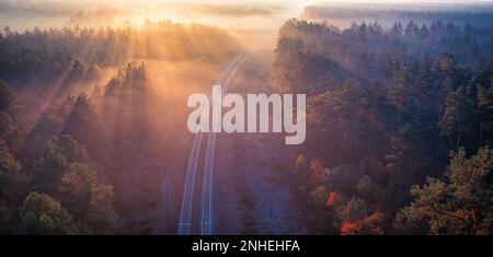 The early morning chill hangs in the air as the train track winds its way through the enchanting autumn forest. The sun's rays filter through the tree Stock Photo