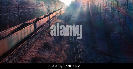Against a backdrop of misty trees and frosty air, a freight train snakes its way through an autumn forest. The soft light of the sunrise illuminates t Stock Photo