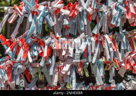 Omikuji, small strips of paper with fortunes or prayers written on them at Enoshima shrine, Enoshima island, Fujisawa, Kanagawa prefecture, Japan. Stock Photo