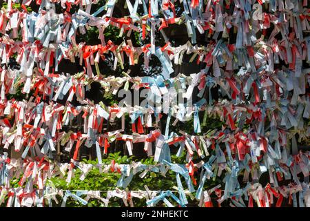 Omikuji, small strips of paper with fortunes or prayers written on them at Enoshima shrine, Enoshima island, Fujisawa, Kanagawa prefecture, Japan. Stock Photo
