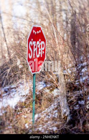 A red stop sign along a back road in Pennsylvania stands straight and bright despite being riddled with bullet holes Stock Photo