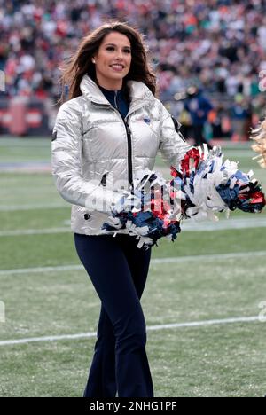 FOXBOROUGH, MA - JANUARY 01: Along the line of scrimmage during a