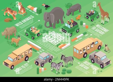 Isometric photo safari flowchart with wild animals and travel vehicles vector illustration Stock Vector