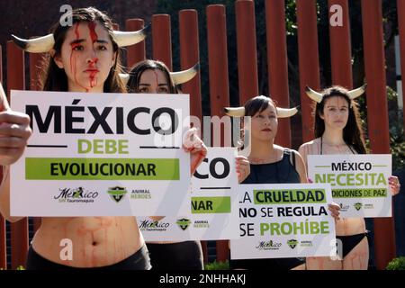 Mexico City, Mexico. 21st Feb, 2023. The organization Animal Heroes sues lawmakers to ban bullfighting in Mexico, at a protest outside the Chamber of Deputies in Mexico City. on February 21, 2023 in Mexico City, Mexico (Credit Image: © Author/eyepix via ZUMA Press Wire) EDITORIAL USAGE ONLY! Not for Commercial USAGE! Stock Photo