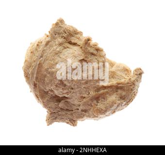 One dehydrated soy meat chunk isolated on white Stock Photo