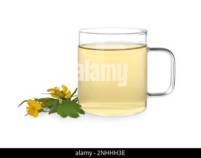 Glass cup of aromatic celandine tea and flowers on white background Stock Photo