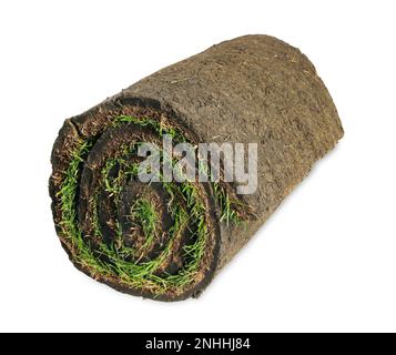 Rolled sod with grass on white background Stock Photo