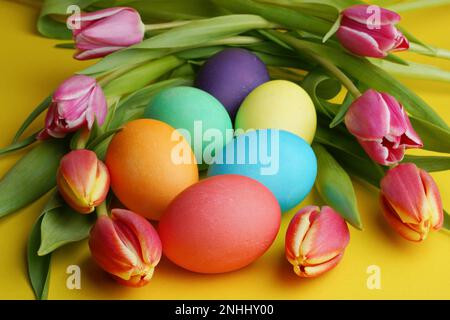 Fresh colorful tulip flowers and easter eggs on yellow background. Happy easter greeting card. Stock Photo