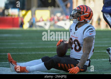 FOXBOROUGH, MA - DECEMBER 24: Cincinnati Bengals wide receiver Ja'Marr  Chase (1) runs following a play during a game between the New England  Patriots and the Cincinnati Bengals on December 24, 2022