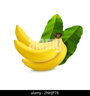 Bunch of ripe yellow bananas with green leaves realistic composition on white background vector illustration Stock Vector
