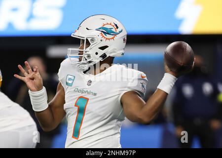 Miami Dolphins wide receiver Trent Sherfield (14) walks the field before an  NFL football game against the Pittsburgh Steelers, Sunday, Oct. 23, 2022,  in Miami Gardens, Fla. (AP Photo/Wilfredo Lee Stock Photo - Alamy