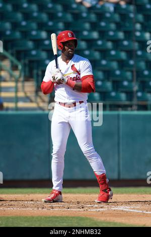 Cardinals: Jordan Walker looks like a star in the Arizona Fall League