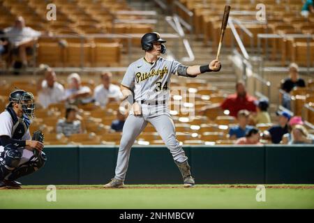 Henry Davis (34) (Pittsburgh Pirates) of the Surprise Saguaros during an  Arizona Fall League game against the Glendale Desert Dogs on October 21,  2022 at Camelback Ranch in Glendale, Arizona. (Tracy Proffitt/Four