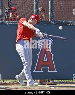 Los Angeles Angels two-way player Shohei Ohtani wearing a face mask arrives  at Angel Stadium in Anaheim, California, on July 5, 2020, after the  suspension of spring training in response to the