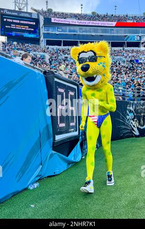 JaxHIM de Ville (@JaxsonDeVille) / X