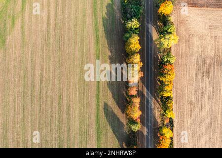 Aerial view of country road surrounded by trees and agricultural fields on autumn day Stock Photo