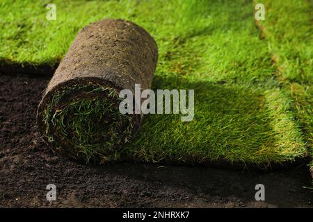 Laying grass sods at backyard. Home landscaping Stock Photo