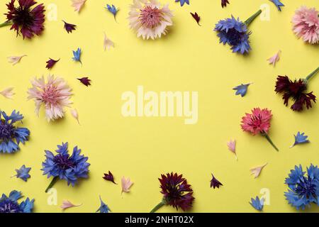 Frame of beautiful colorful cornflowers on yellow background, flat lay. Space for text Stock Photo