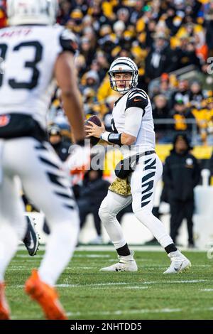 PITTSBURGH, PA - NOVEMBER 20: Cincinnati Bengals quarterback Joe