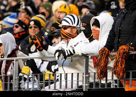 PITTSBURGH, PA - NOVEMBER 20: A photo of a Cincinnati Bengals