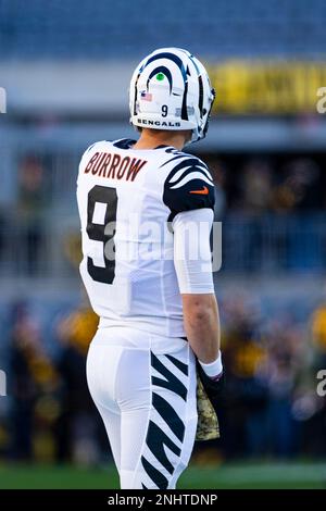 November 20, 2022, Pittsburgh, Pennsylvania, USA: November 20th, 2022  Cincinnati Bengals punter Drue Chrisman (4) during Pittsburgh Steelers vs  Cincinnati Bengals in Pittsburgh, PA. Jake Mysliwczyk/BMR (Credit Image: ©  Jake Mysliwczyk/BMR via