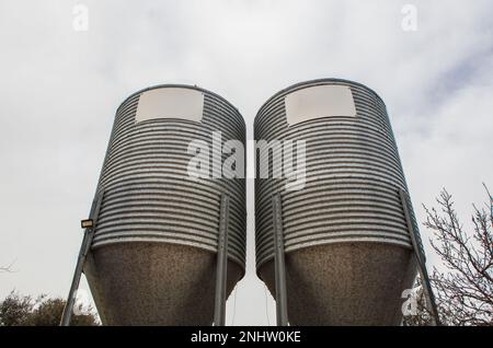 Animal feed silos. Zinc-coated storage for animal husbandry Stock Photo