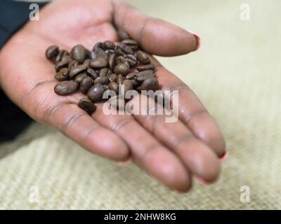 hand of african american woman holding coffee beans macro close up Stock Photo