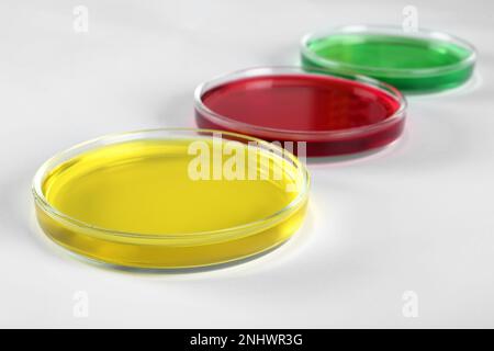 Petri dishes with colorful liquids on white background, closeup Stock Photo