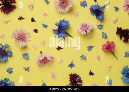 Beautiful colorful cornflowers on yellow background, flat lay Stock Photo