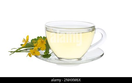 Glass cup of aromatic celandine tea and flowers on white background Stock Photo