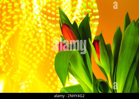 Tulips on background of neon yellow festive lights. Stock Photo