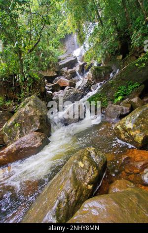 Waterfall, Sinharaja National Park Rain Forest, Sinharaja Forest Reserve, World Heritage Site, UNESCO, Biosphere Reserve, Sri Lanka, Asia Stock Photo