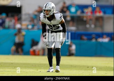 JACKSONVILLE, FL - NOVEMBER 06: Las Vegas Raiders defensive end