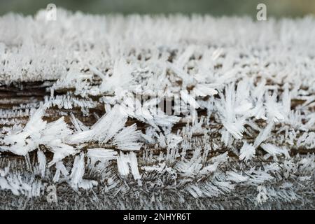 Harsh freezing hoar fog moisture makes water droplets turn directly from water to solid state like feathery beard coating surfaces sublimation process Stock Photo