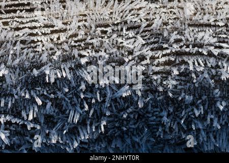 Harsh freezing hoar fog moisture makes water droplets turn directly from water to solid state like feathery beard coating surfaces sublimation process Stock Photo