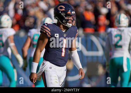 Chicago, Illinois, USA. 24th Nov, 2019. - Bears #29 Tarik Cohen is chased  by Giants #29 Deone Bucannon during the NFL Game between the New York Giants  and Chicago Bears at Soldier