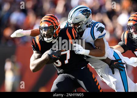 CINCINNATI, OH - NOVEMBER 06: Cincinnati Bengals Linebacker Germaine Pratt ( 57) returns an interception during the NFL game between the Carolina  Panthers and the Cincinnati Bengals on November 6, 2022, at Paycor