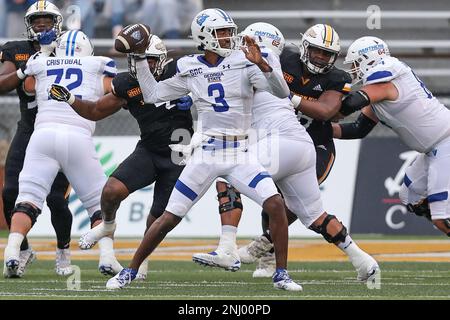 HATTIESBURG, MS - NOVEMBER 05: Georgia State Panthers running back