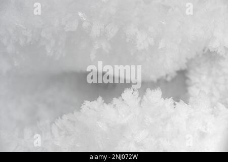 Harsh freezing hoar fog moisture makes water droplets turn directly from water to solid state like feathery beard coating surfaces sublimation process Stock Photo