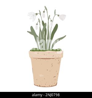 Potted snowdrops isolated on white background. First spring flowers in vintage clay pot, vector illustration. Stock Vector