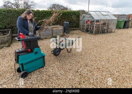 Woman shredding dead plants to put in the compost bin. Stock Photo