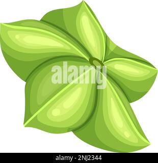 sacha inchi green cartoon vector illustration color sign Stock Vector