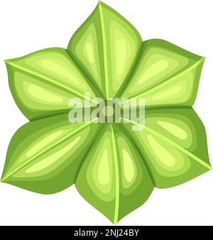 sacha inchi green cartoon vector illustration color sign Stock Vector