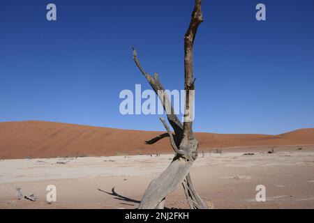 tailor-made travel in Africa Stock Photo