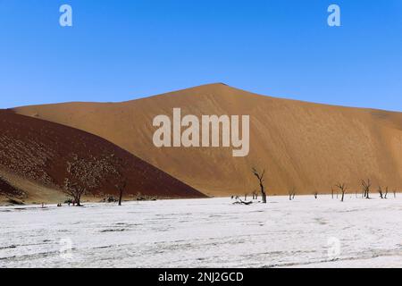 tailor-made travel in Africa Stock Photo