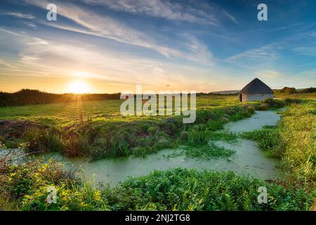 Sunset over an old round thatched barn on Braunton Marshes near Barnstaple in Devon Stock Photo