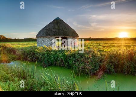 Sunset over a thatched round linhay barn on Braunton Marshes near Barnstaple in Devon Stock Photo