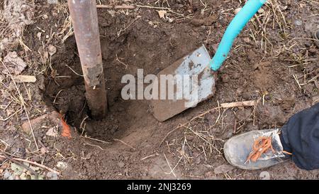 a man digs a metal rounded rusty post out of hard rocky ground with a hand shovel, top view, digging a hole in the ground for a post or digging rebar Stock Photo