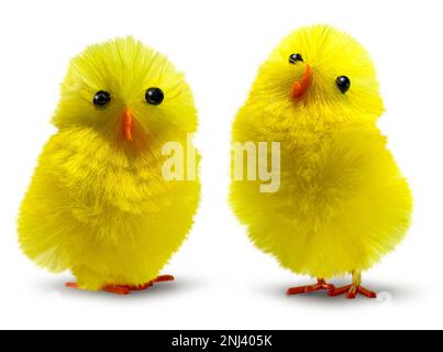 Two cute, funny and flurry yellow Easter decoration chicks isolated, minimum drop shadow Stock Photo