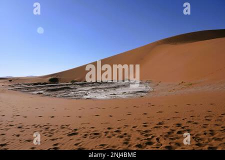 tailor-made travel in Africa Stock Photo